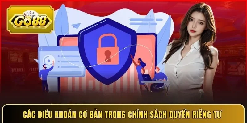 Các điều khoản cơ bản trong chính sách quyền riêng tư 